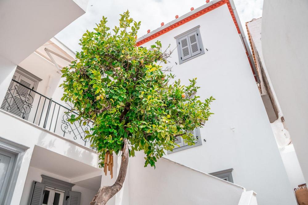 Lemon Tree - Hydra Dream Houses Exterior photo